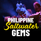 Philippines Sale